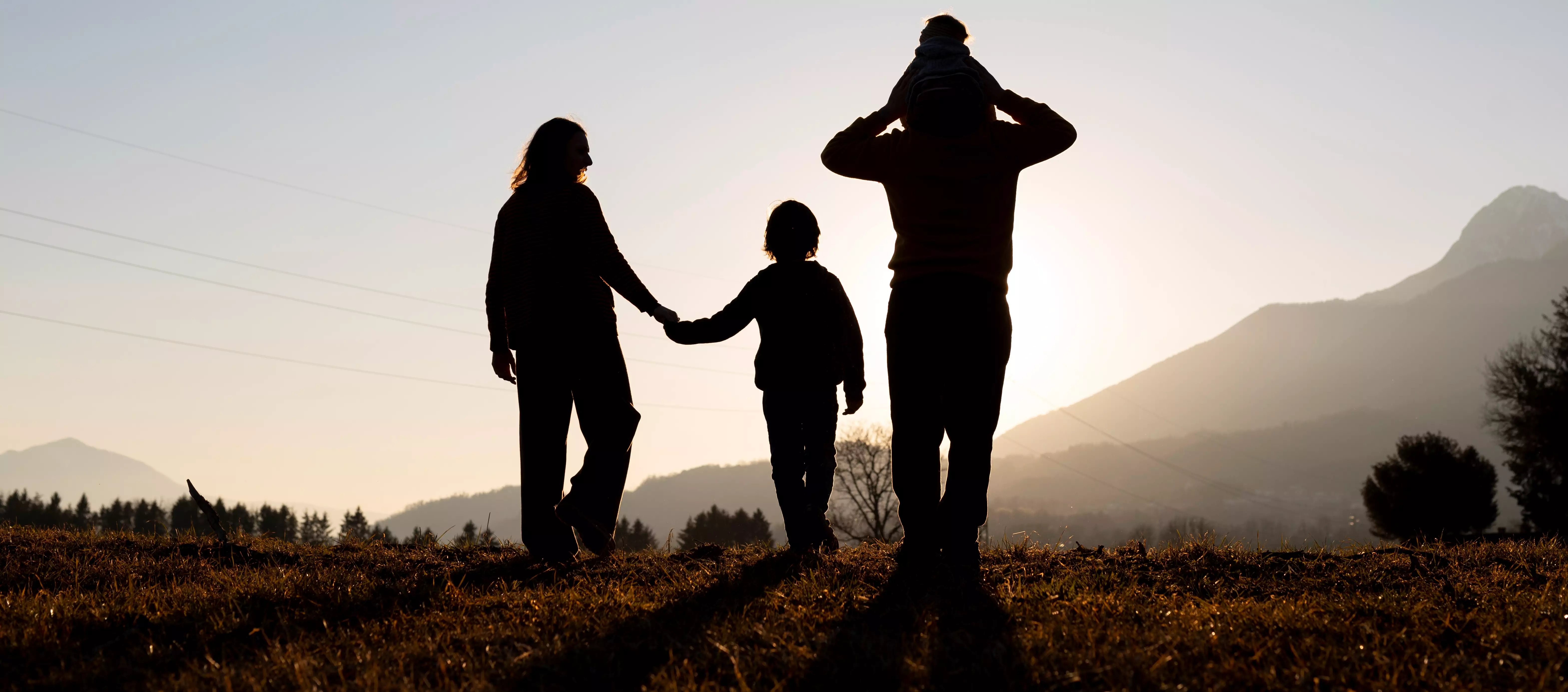 Семейное право Службы